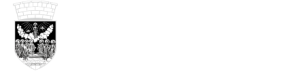 Grad Zrenjanin