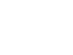 Terrorhammer Logo