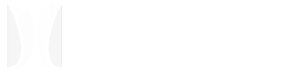 Turist